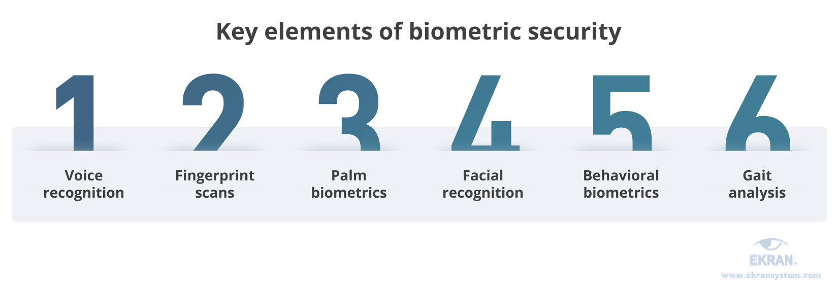 Key elements of biometric security
